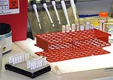 Pipettes Pipettes